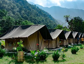 Camps in Rishikesh